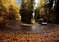 Der Bus nach Pilsbach windet sich die Kurven hinauf