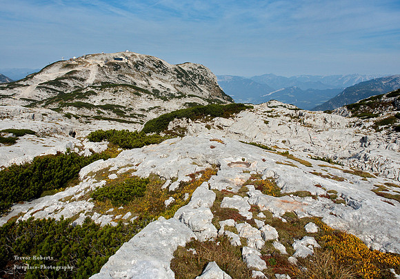 Krippenstein