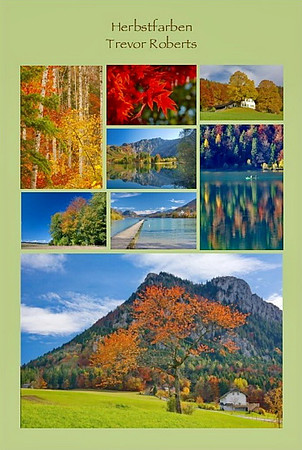 Title: Autumn colours