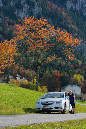 Red tree, lady and car