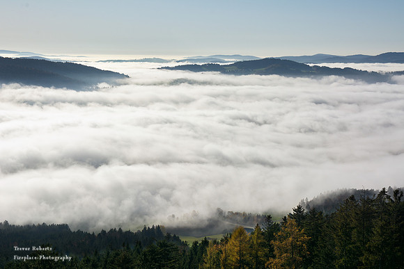 Sea of fog