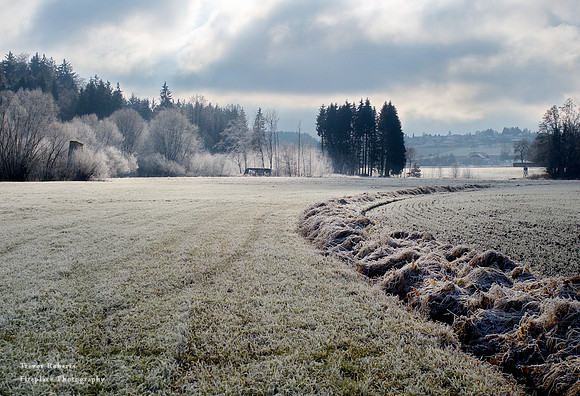 Frosty fields