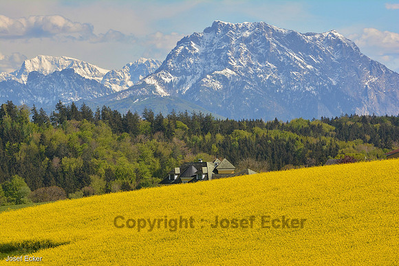 Grosser Priel und Traunstein - von Untereinwald aus...