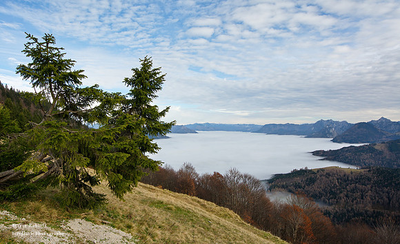 Zwoelferhorn