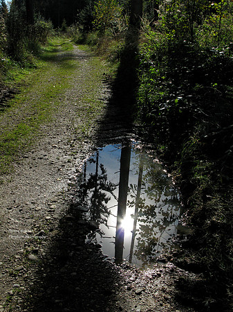 Reflection in a shadow