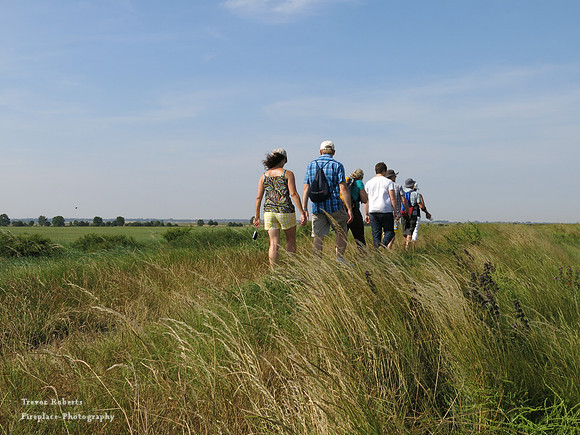 Along the sea wall in Pagelsham