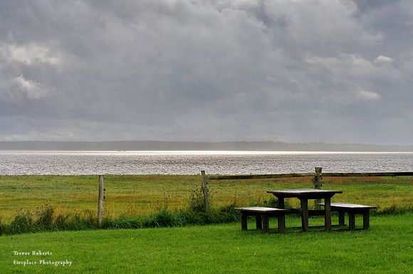 Slither of Light and a picnic bench