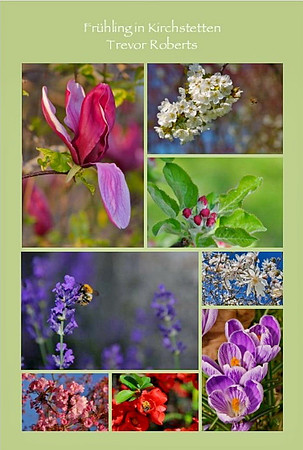 Title Poster for the spring collection