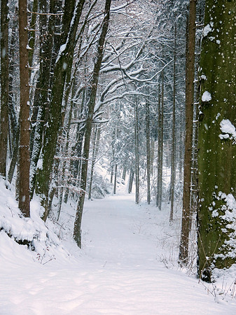 Snow in Pilsbach