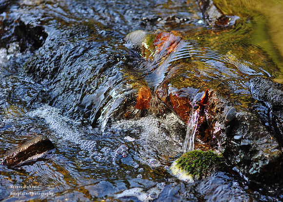 Flowing Water detail in a small stream