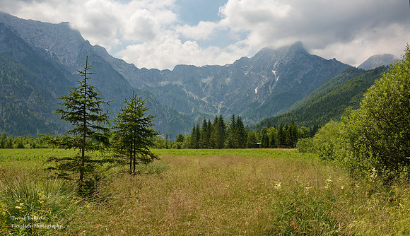 Pasture at the end of Lake Almsee