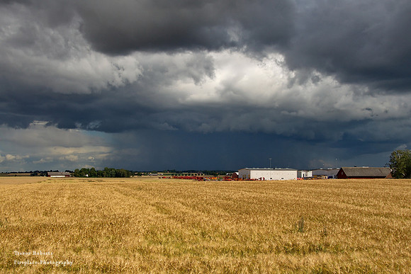 Before the storm