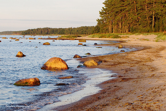 Evening light at a beach in Estonia