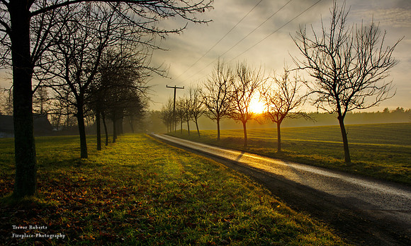 The streets are paved with gold in my home town
