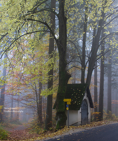 Tiny chappel at the edge of a misty autumn forest