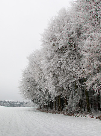Jack Frost in Kirchstetten
