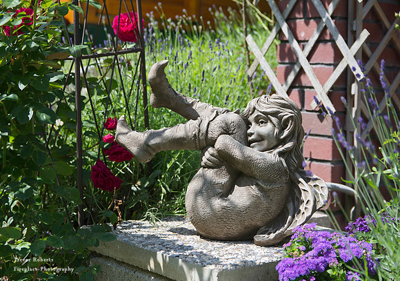 Our garden