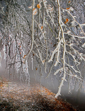Jack Frost visited Wolfsegg