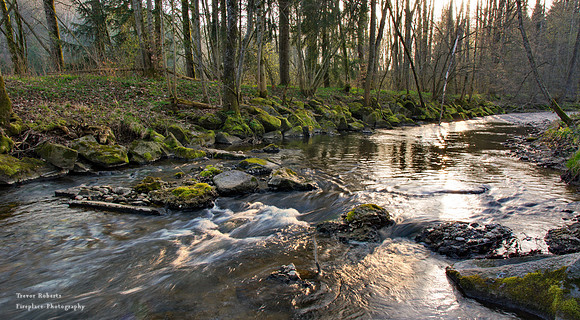 Redlbach- Dappled light on  the stream