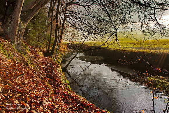 Kohlaichbach stream in Pilsbach