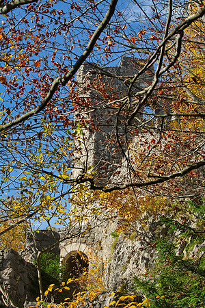 Wartenfels Ruin, hiding behind the autumn branches