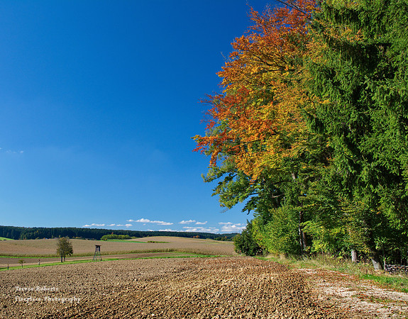 Autumn begins in Pilsbach #2
