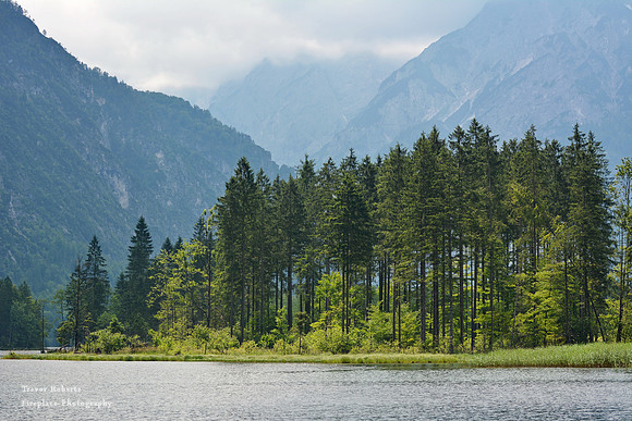 Lake Almsee, Forest and mounatins