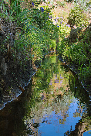 Reflections in a lavada