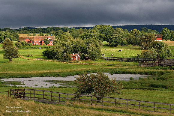 Farm houses next to the nature reserve
