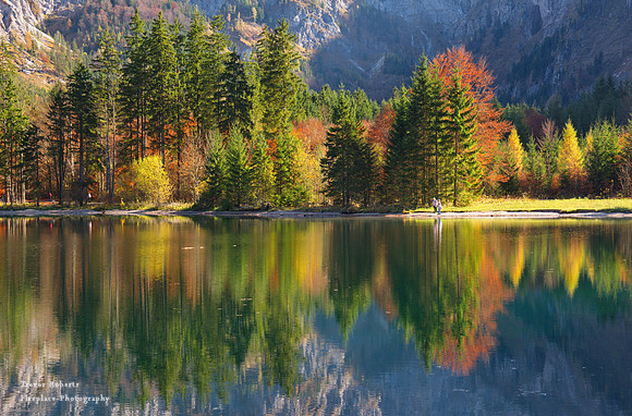 Lake Offensee close up reflections