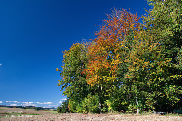 Autumn begins in Pilsbach