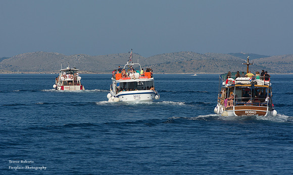 Follow the leader!