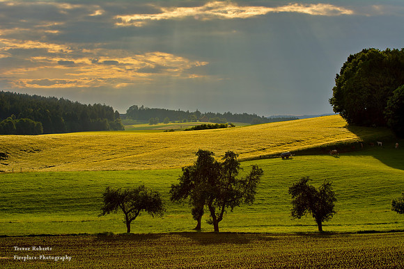 ...On the way to Schmidham