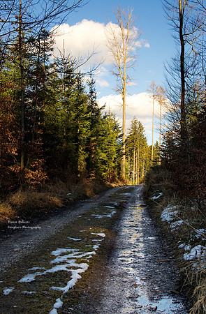 Light at the end of the path