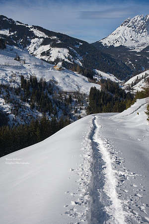 Our snow shoe tracks on Pronebenalm Feb 2022