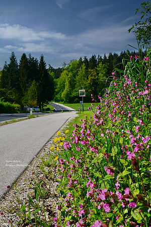 New cycle path