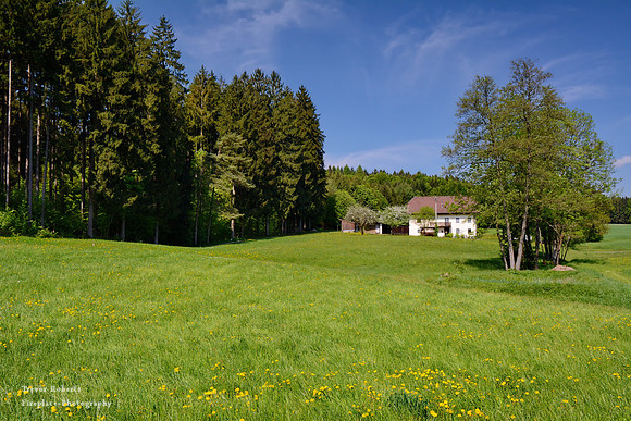 A house at the edge of the forest